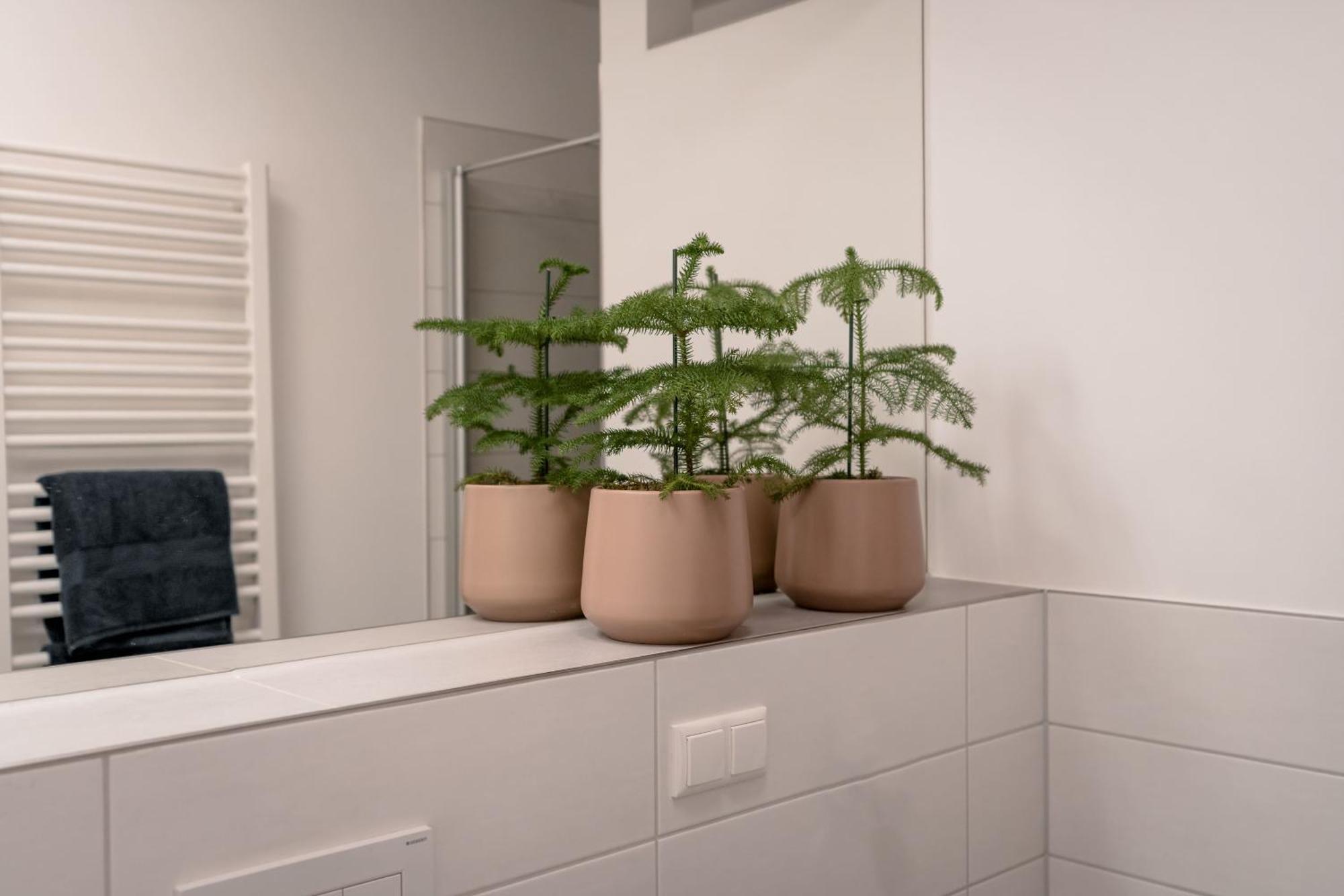 Ferienwohnung Altstadt Regensburg Buitenkant foto